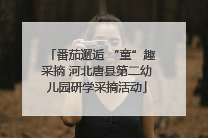 番茄邂逅 “童”趣采摘 河北唐县第二幼儿园研学采摘活动