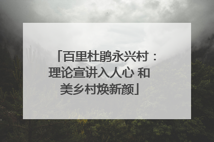 百里杜鹃永兴村：理论宣讲入人心 和美乡村焕新颜