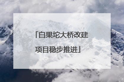 白果坨大桥改建项目稳步推进