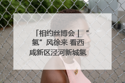 相约丝博会｜“氢”风徐来 看西咸新区泾河新城氢能产业聚链成势