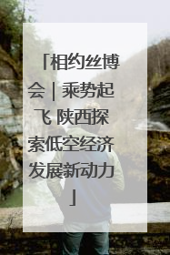 相约丝博会｜乘势起飞 陕西探索低空经济发展新动力