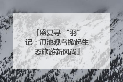 盛夏寻 “羽” 记：滇池观鸟掀起生态旅游新风尚