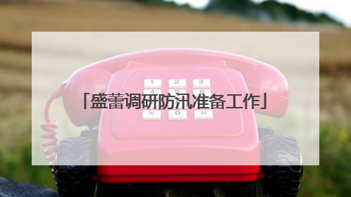 盛蕾调研防汛准备工作