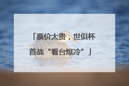 票价太贵，世俱杯首战“看台爆冷”