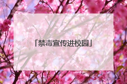 禁毒宣传进校园