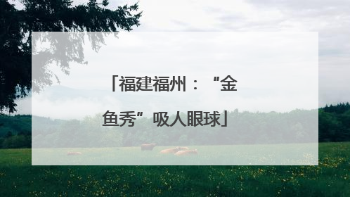 福建福州：“金鱼秀”吸人眼球