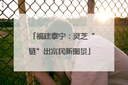 福建泰宁：灵芝“链”出富民新图景