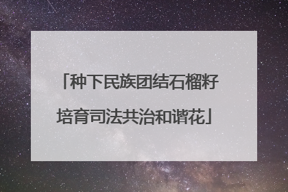 种下民族团结石榴籽 培育司法共治和谐花