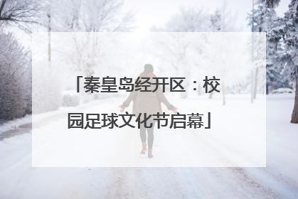 秦皇岛经开区：校园足球文化节启幕