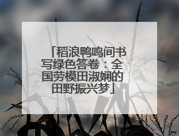 稻浪鸭鸣间书写绿色答卷：全国劳模田淑娴的田野振兴梦
