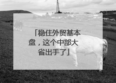 稳住外贸基本盘，这个中部大省出手了