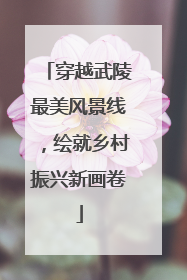 穿越武陵最美风景线，绘就乡村振兴新画卷