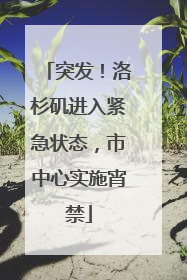 突发！洛杉矶进入紧急状态，市中心实施宵禁