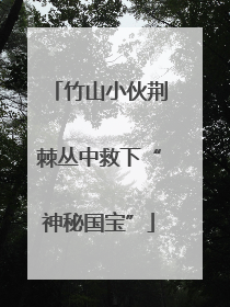 竹山小伙荆棘丛中救下“神秘国宝”