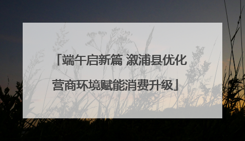 端午启新篇 溆浦县优化营商环境赋能消费升级