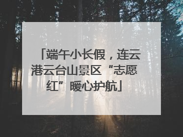 端午小长假，连云港云台山景区“志愿红”暖心护航