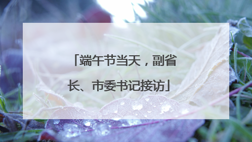 端午节当天，副省长、市委书记接访