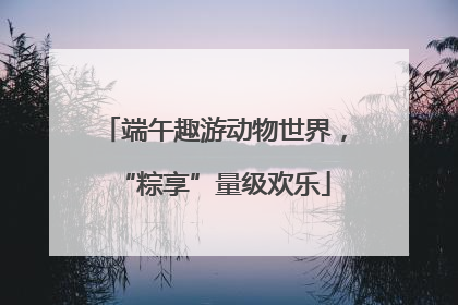 端午趣游动物世界，“粽享”量级欢乐