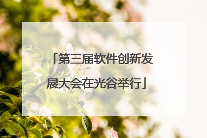 第三届软件创新发展大会在光谷举行