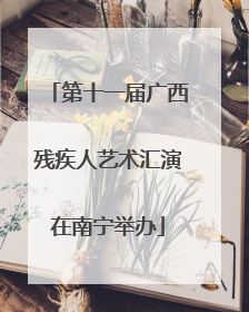第十一届广西残疾人艺术汇演在南宁举办