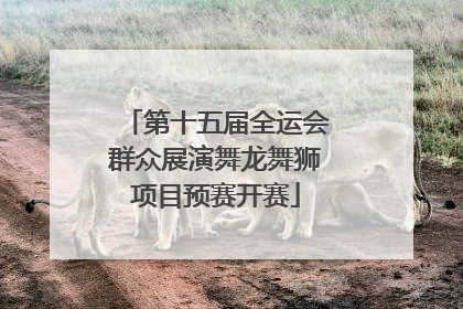 第十五届全运会群众展演舞龙舞狮项目预赛开赛