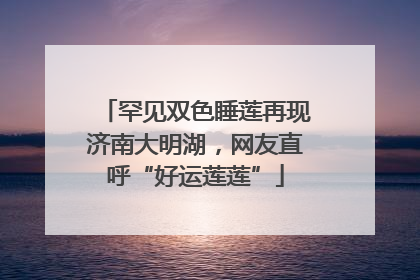 罕见双色睡莲再现济南大明湖，网友直呼“好运莲莲”