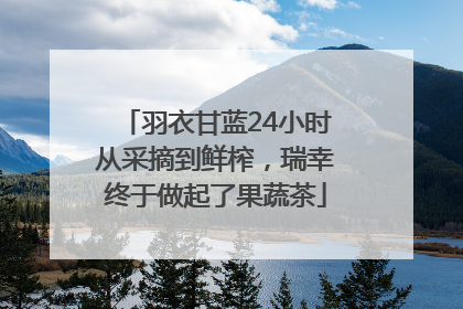 羽衣甘蓝24小时从采摘到鲜榨，瑞幸终于做起了果蔬茶