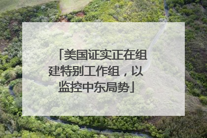 美国证实正在组建特别工作组，以监控中东局势
