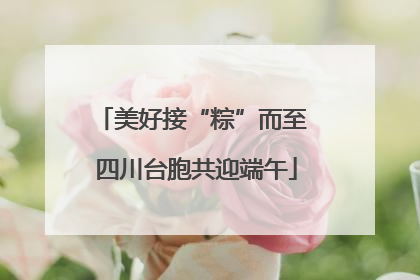 美好接“粽”而至 四川台胞共迎端午