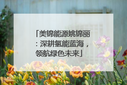 美锦能源姚锦丽：深耕氢能蓝海，领航绿色未来