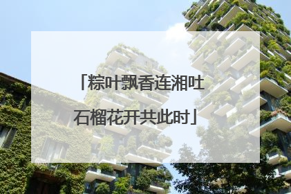 粽叶飘香连湘吐 石榴花开共此时