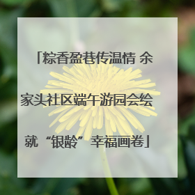 粽香盈巷传温情 余家头社区端午游园会绘就“银龄”幸福画卷