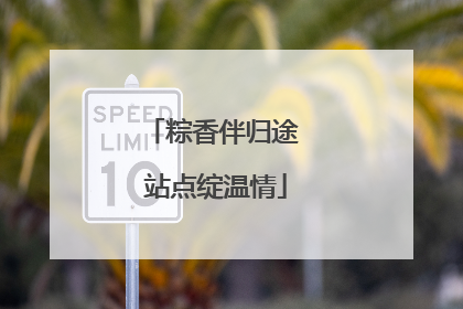 粽香伴归途 站点绽温情