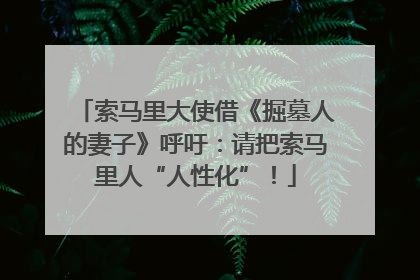 索马里大使借《掘墓人的妻子》呼吁：请把索马里人“人性化”！
