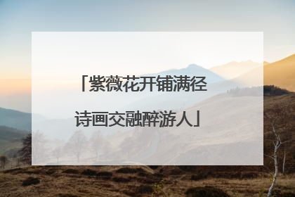 紫薇花开铺满径 诗画交融醉游人