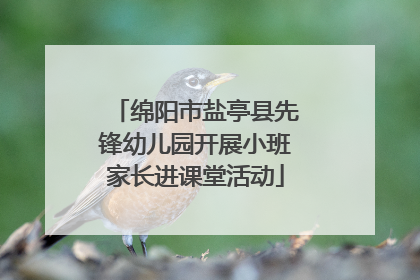 绵阳市盐亭县先锋幼儿园开展小班家长进课堂活动