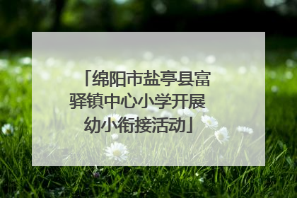 绵阳市盐亭县富驿镇中心小学开展幼小衔接活动