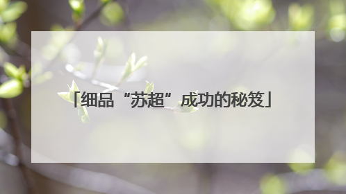 细品“苏超”成功的秘笈