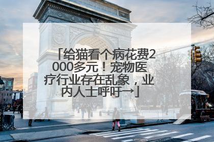 给猫看个病花费2000多元！宠物医疗行业存在乱象，业内人士呼吁→