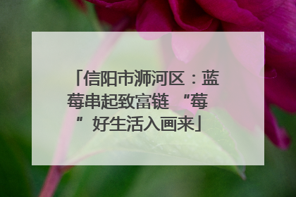 信阳市浉河区：蓝莓串起致富链 “莓”好生活入画来
