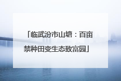 临武汾市山塘：百亩禁种田变生态致富园