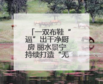 一双布鞋“逼”出干净厨房 丽水景宁持续打造“无水厨房”
