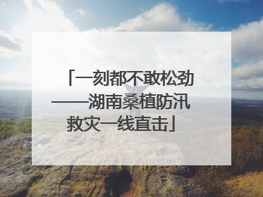 一刻都不敢松劲——湖南桑植防汛救灾一线直击