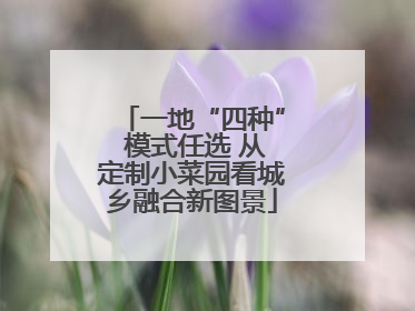 一地“四种” 模式任选 从定制小菜园看城乡融合新图景