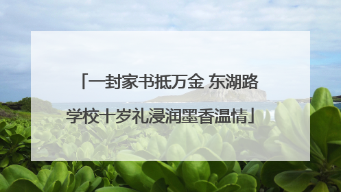 一封家书抵万金 东湖路学校十岁礼浸润墨香温情