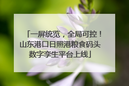 一屏统览，全局可控！山东港口日照港粮食码头数字孪生平台上线