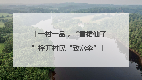 一村一品，“雪裙仙子”撑开村民“致富伞”