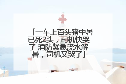 一车上百头猪中暑已死2头，司机快哭了 消防紧急浇水解暑，司机又哭了