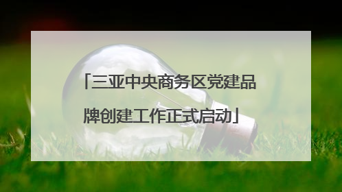 三亚中央商务区党建品牌创建工作正式启动