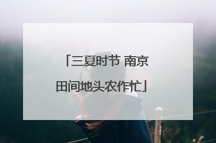 三夏时节 南京田间地头农作忙